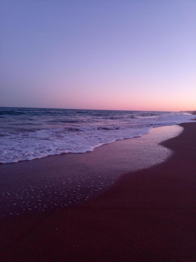 Pulau Playa Appartamento Guardamar del Segura Esterno foto